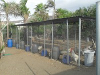 /album/del-encuentro-criadero/sdc10298-jpg/