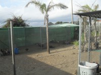 /album/del-encuentro-criadero/sdc10297-jpg/